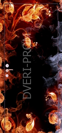 Фотография «Дверь с фотопечатью №16»