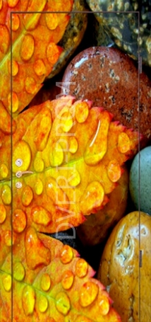 Фотография «Дверь с фотопечатью №9»