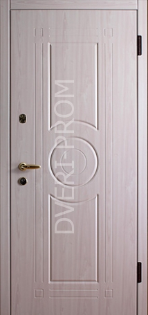 Фотография «Взломостокая дверь №8»